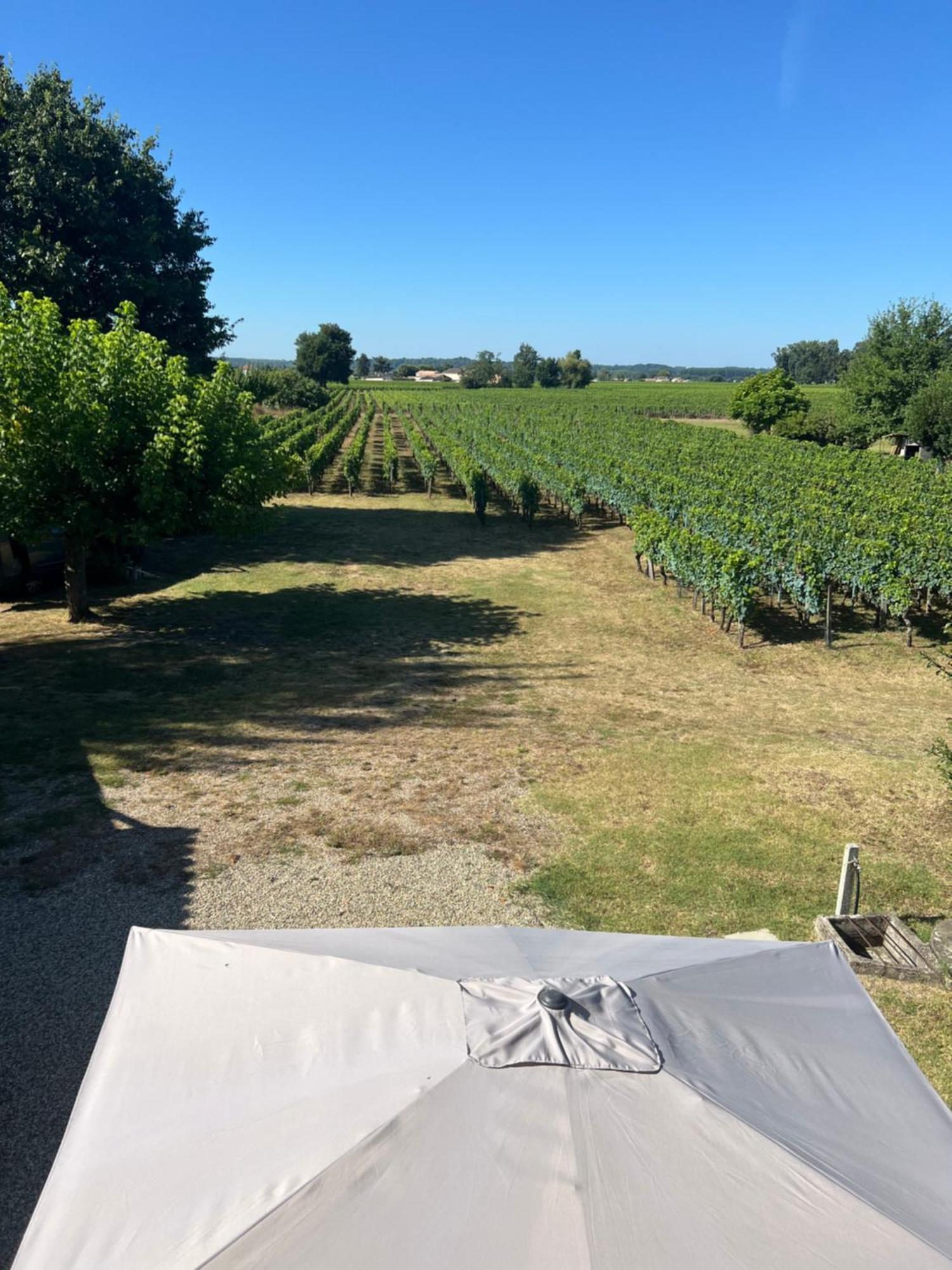Gite Le Clos Saint-Sulpice-de-Faleyrens 외부 사진